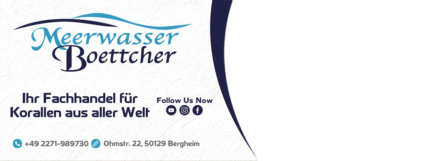 Banner mit transparenter Mitte