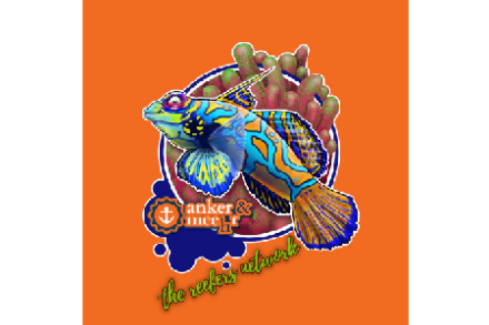 Logo von anker und meehr